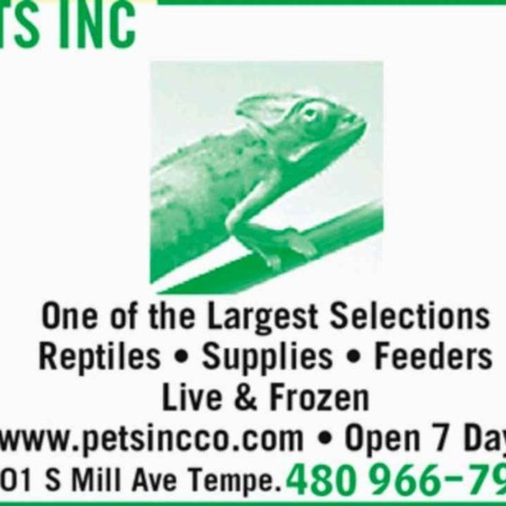 East Valley Reptile Stores Yelp