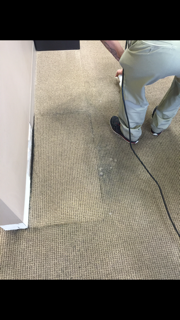 Oxi Fresh Carpet Cleaning
