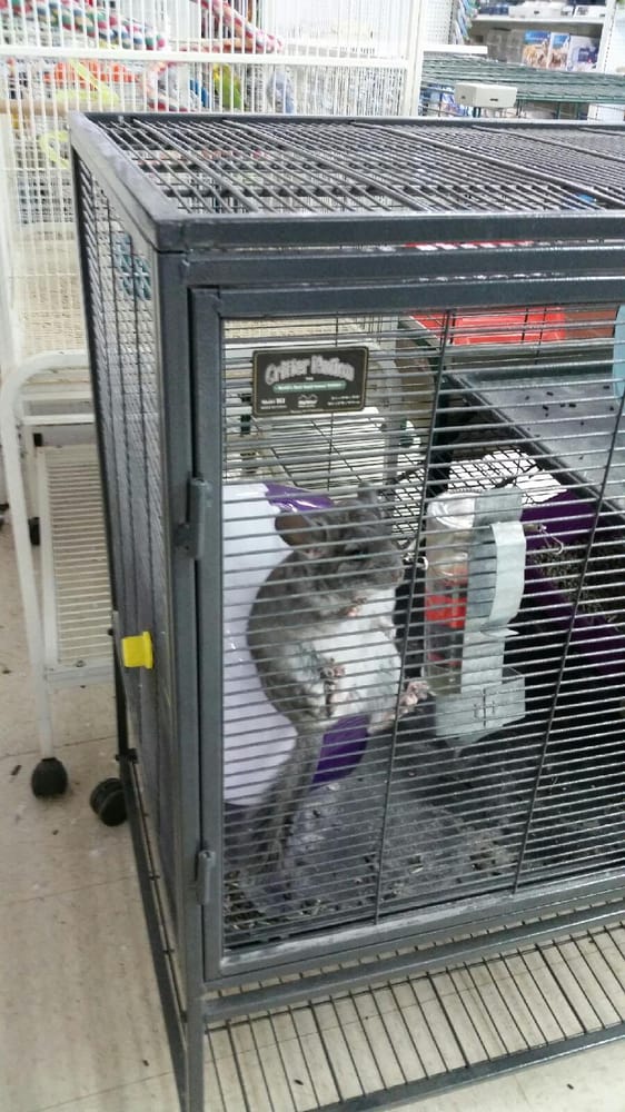 soldan s pet supplies 23 photos pet stores 515 soldan s pet supplies 23 photos pet stores 515