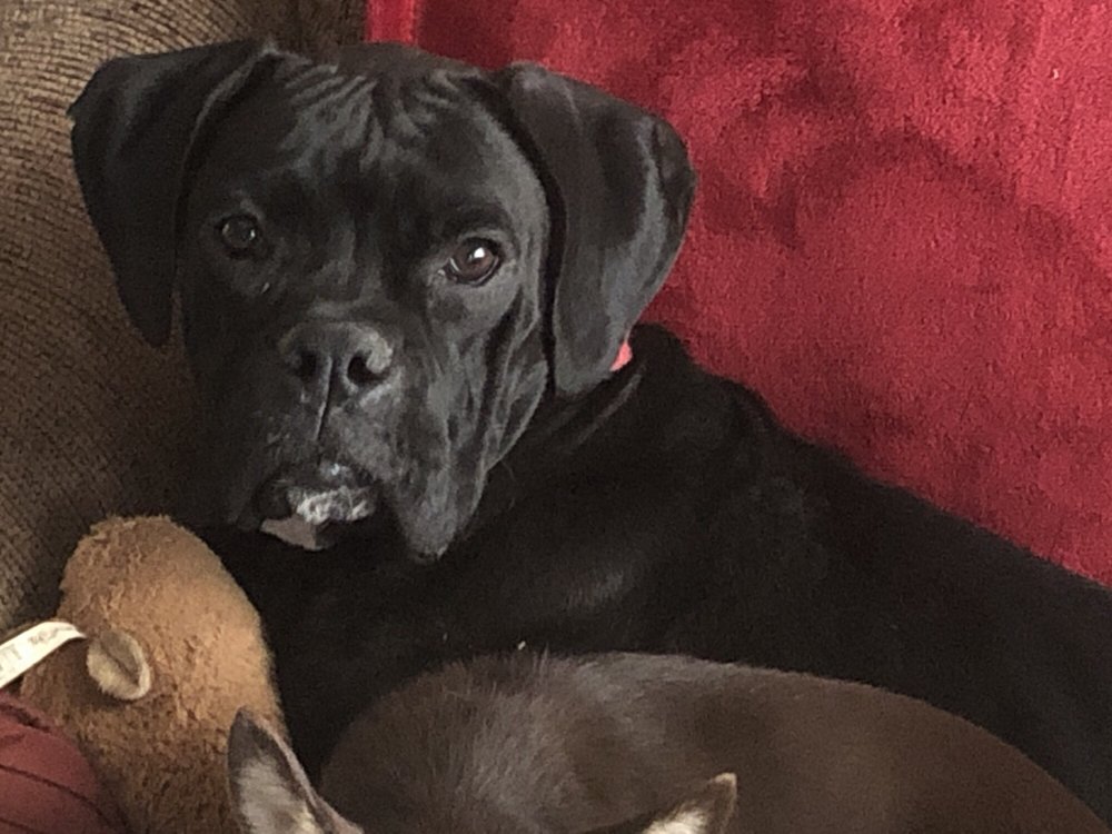 image of business Perry Dental