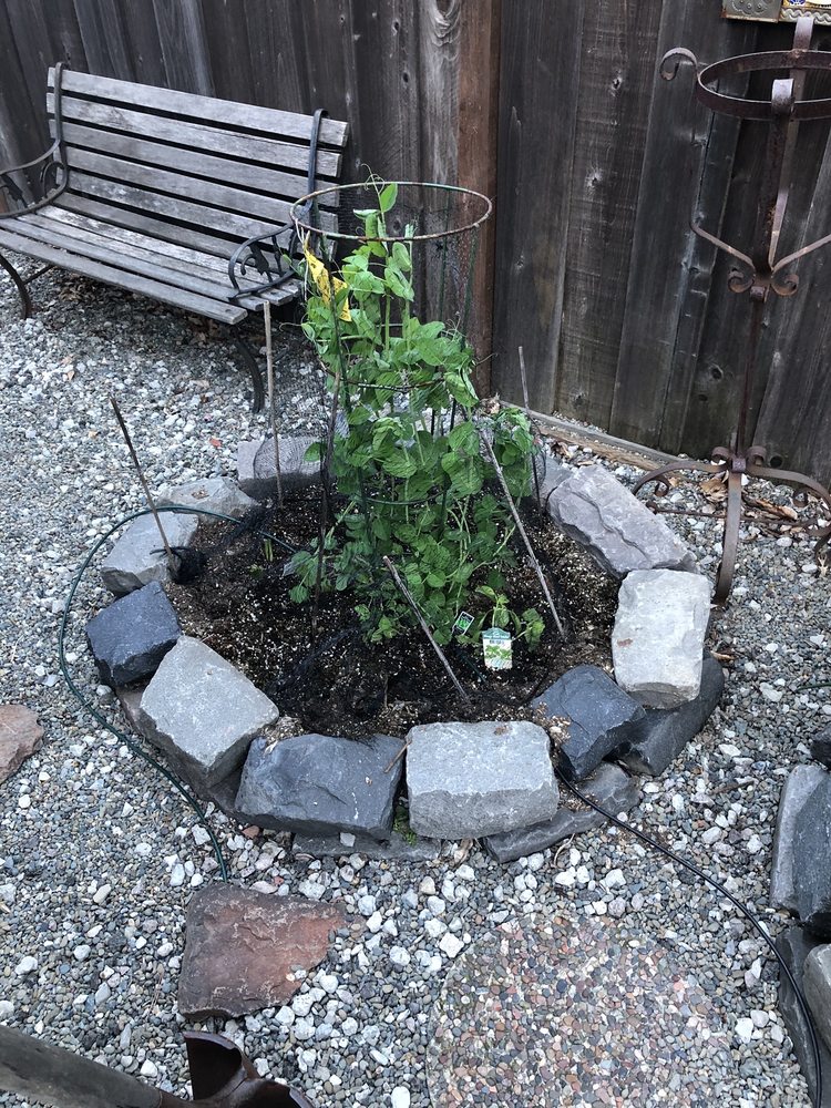 Sloat Garden Center