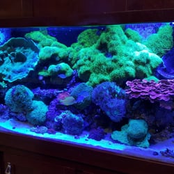 total aquariums 15 photos