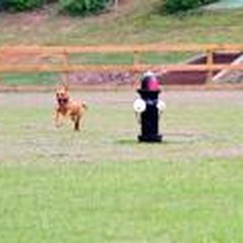 Wiggins Dog Park Conroe Tx Wiggins Dog Park Conroe Tx