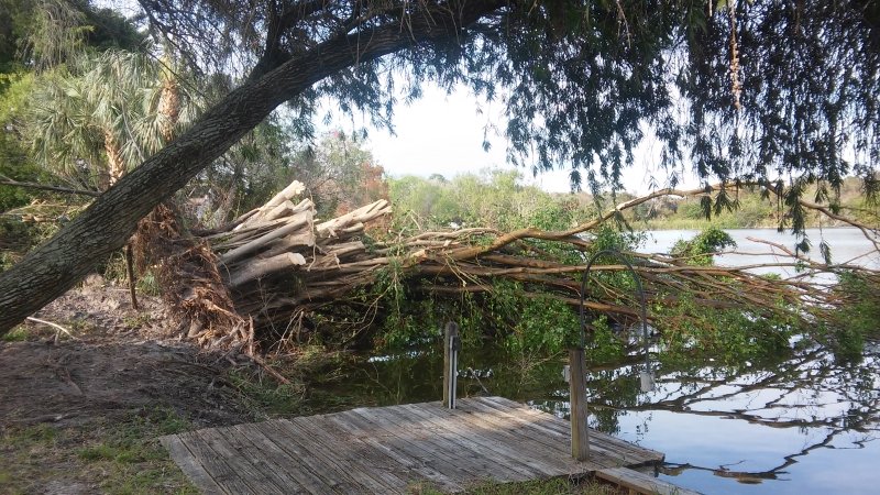 Jamison Tree Service