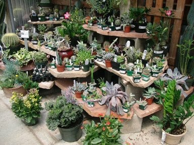 Campbell S Nurseries Garden Centers 5625 Pine Lake Rd Lincoln Ne Campbell S Nurseries Garden Centers 5625 Pine Lake Rd Lincoln Ne Mapquest