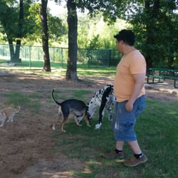 richardson dog park richardson dog park