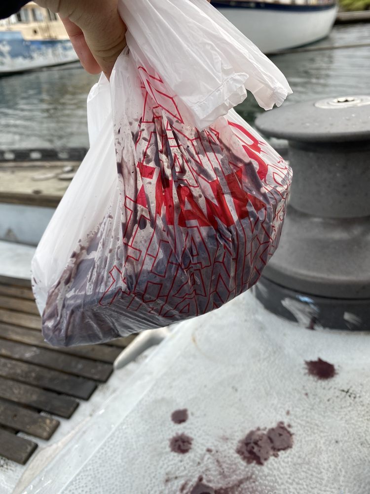 The Vegan Breakfast The Vegan Breakfast