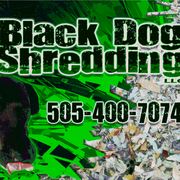 ari graphix professional services
