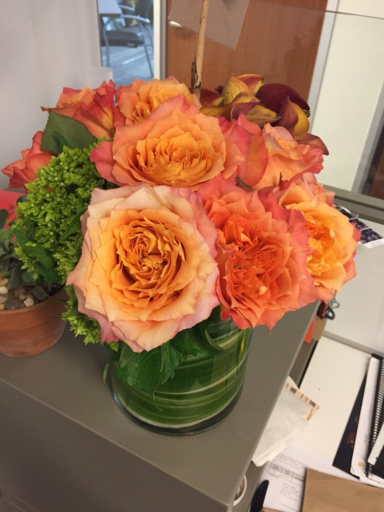 Multiflor Inc