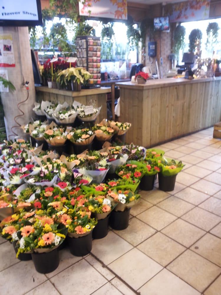 Beautiful Flower Shop 2019 All You Need to Know BEFORE You Go (with