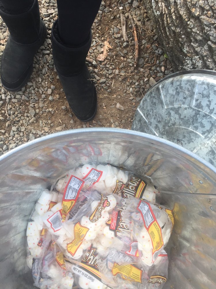 Took Walk At Strickers Pond And Saw Our >> Hidden Pond Tree Farm 13 Photos 13 Reviews Local Flavor Took Walk At Strickers Pond And Saw Our >> Hidden Pond Tree Farm 13 Photos 13 Reviews Local Flavor