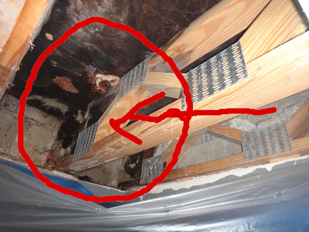 image of business General Moisture Solutions