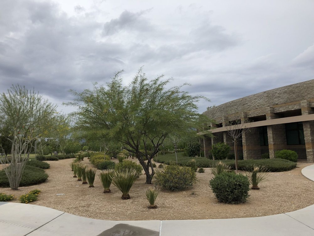 Aliante Library 18 Photos & 24 Reviews Libraries 2400 W Deer