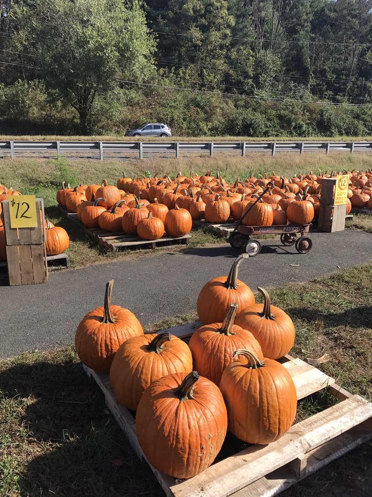 Potomac Vegetable Farms