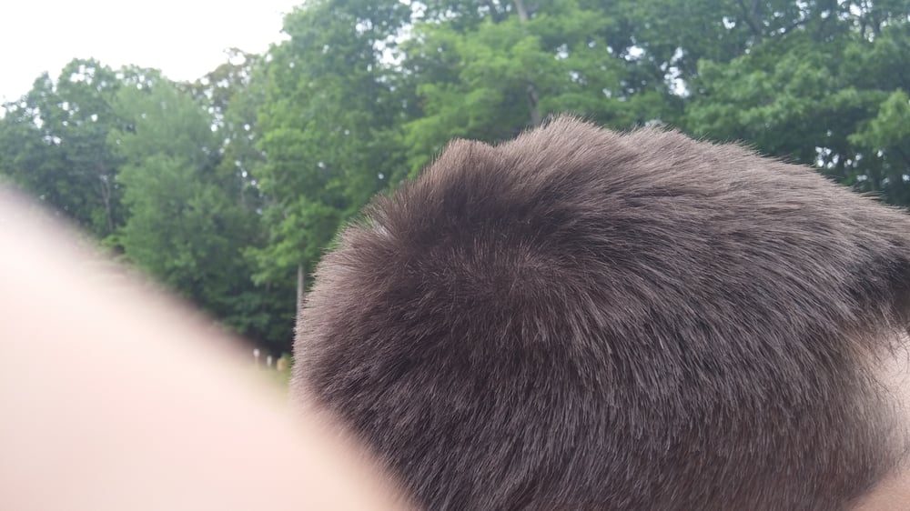 Hair Cuttery