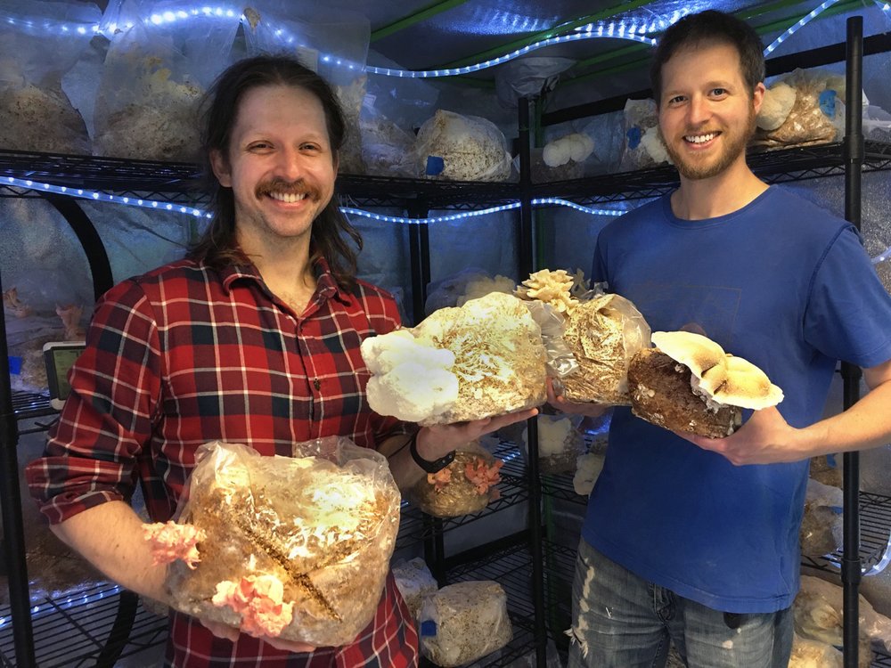 Mushroom Queens