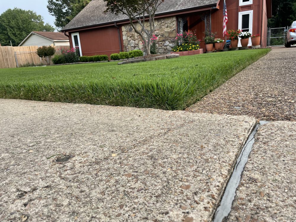 Camp Lawn Care, Landscaping, & Tree Services