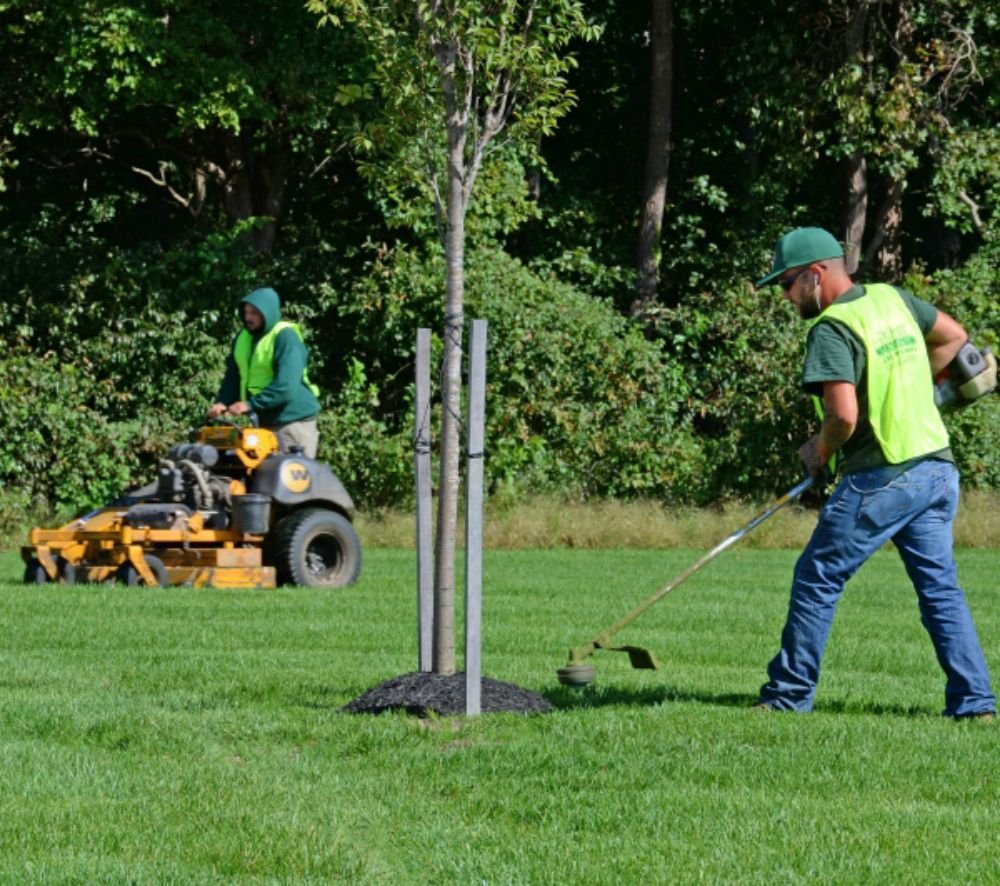 Care Free Lawn Services
