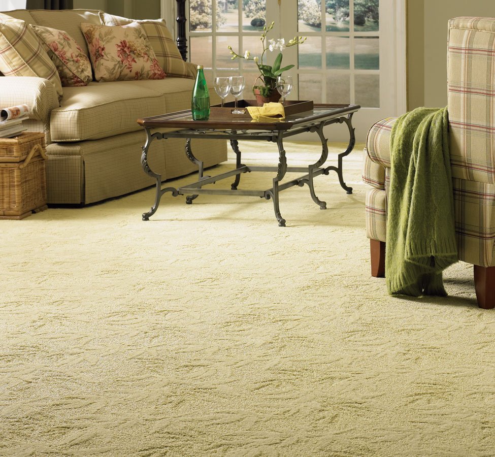Socks Off Carpet Cleaning