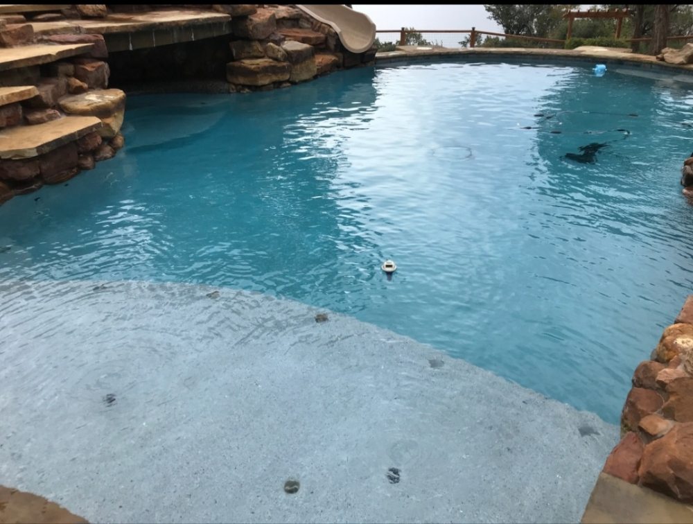Texas Pointer Pools