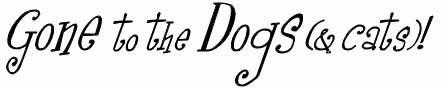 Gone to the Dogs & Cats!