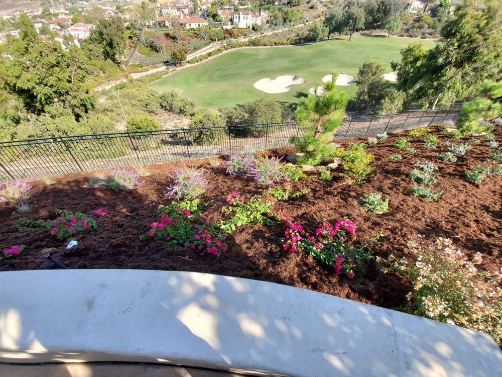 Urban Landcare - La Jolla Commercial & Residential Landscape