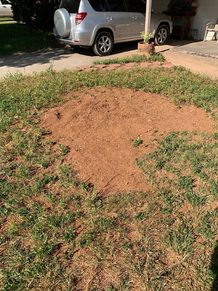 BROKEN WILLOW TREE SERVICE