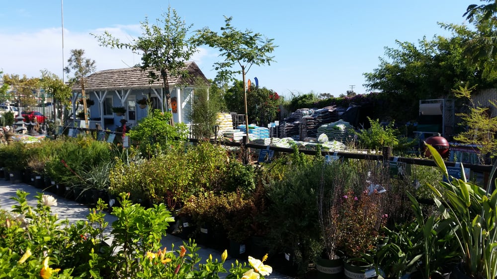 Armstrong Nursery Morena Blvd Yelp Photo Of Armstrong Garden Centers San Go Ca United States Nursery