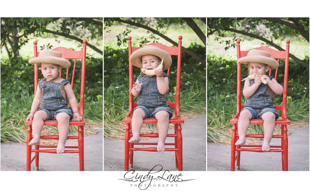 Cindy Lane Photography