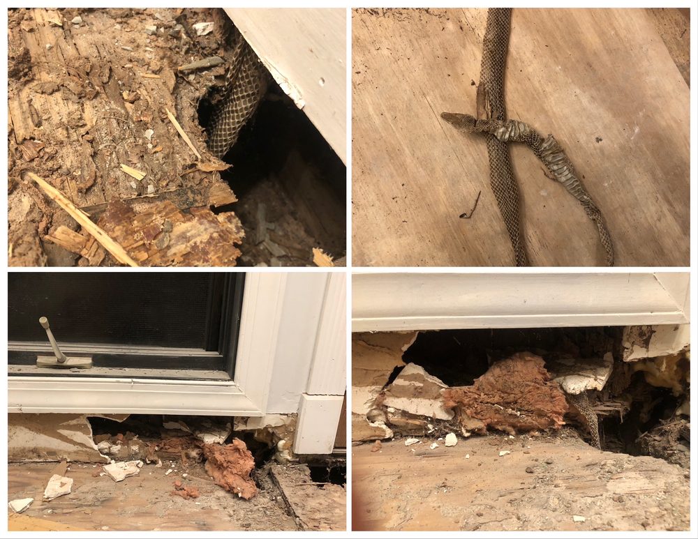 WIN Home Inspection