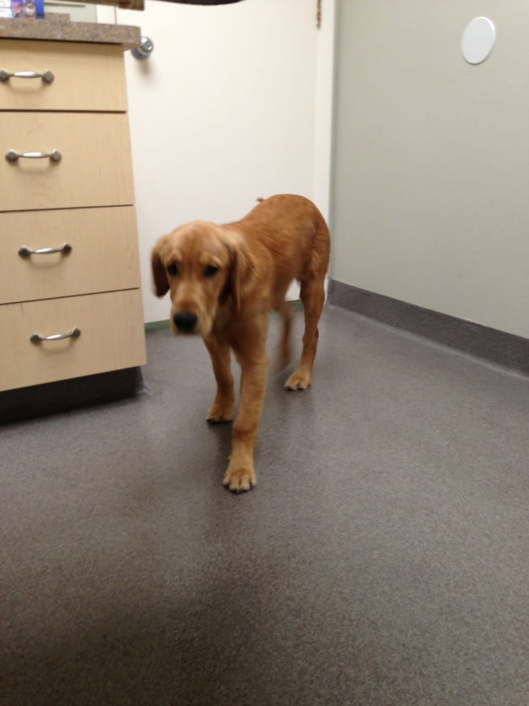 Owl Creek Veterinary Hospital 21 Reviews Veterinarians 587 S Owl Creek Veterinary Hospital 21 Reviews Veterinarians 587 S Birdneck Rd Virginia Beach Va Phone Number Last Updated December 16 2018 Yelp