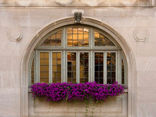 Sandra Clark Counseling + Consulting