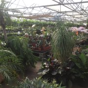 Oak Creek Plants Flowers 21 Photos 10 Reviews Nurseries Photo Of Oak Creek Plants Flowers Lincoln Ne United States