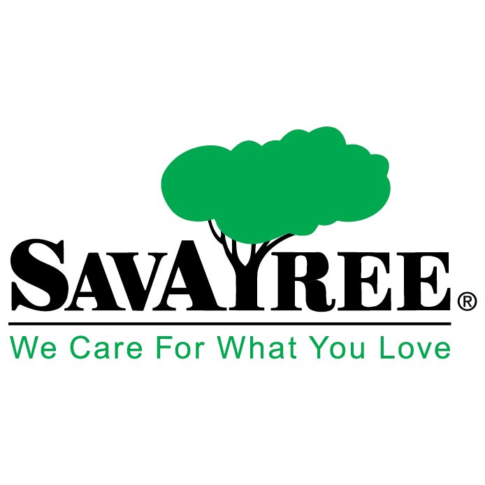 SavATree Tree Service & Lawn Care