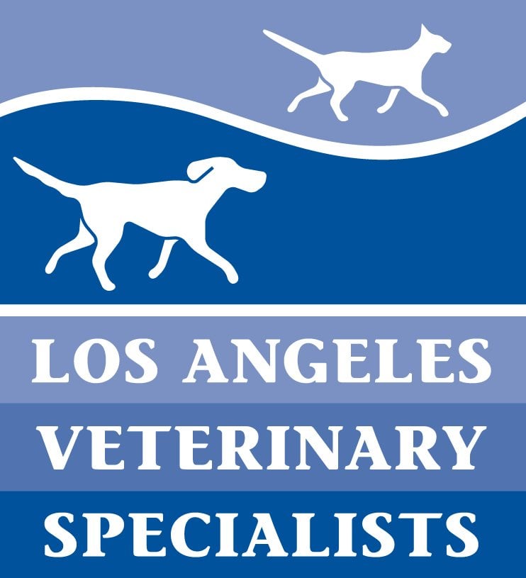 Vca Los Angeles Veterinary Specialists 30 Reviews Veterinarians Vca Los Angeles Veterinary