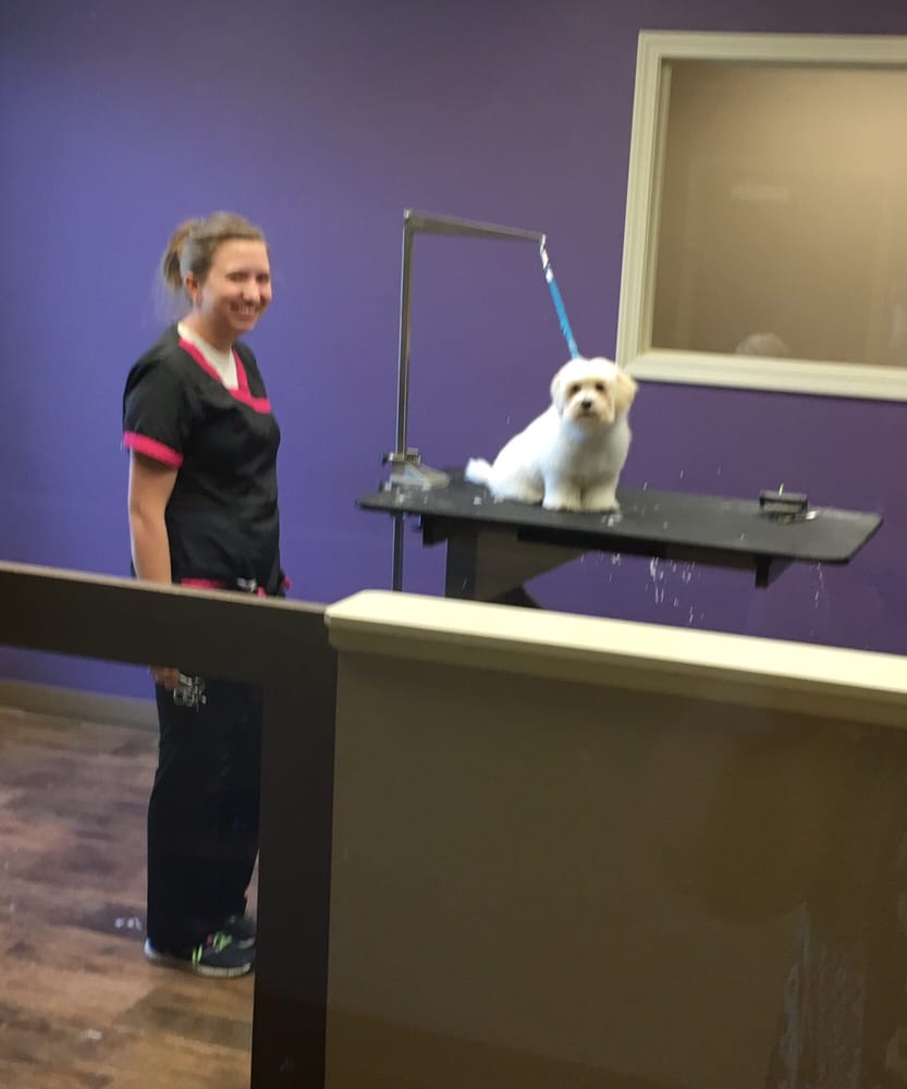 Four Paws Pet Hotel and Resort 15 Photos Pet Boarding/Pet Sitting