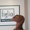 Figlio Wood Fired Pizza