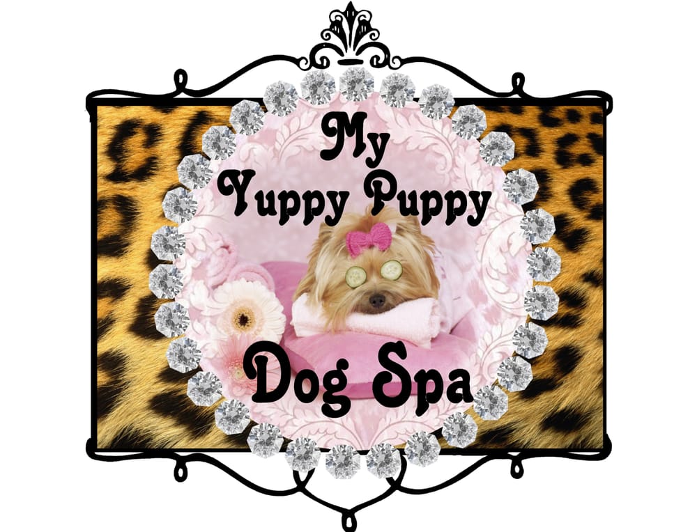 yuppy puppy pet spa yuppy puppy spa closed pet groomers 225 orange ave fort fl phone yuppy puppy pet spa yuppy puppy spa closed pet groomers 225 orange ave fort fl phone