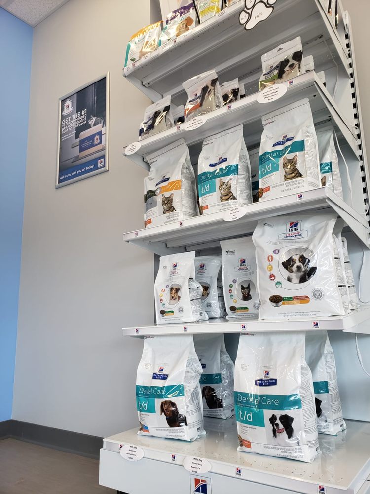 All Day Pet Hospital