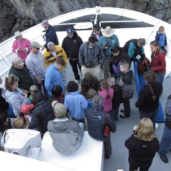 Major Marine Tours Seward Ak United States Major Marine Tours Seward Ak United States