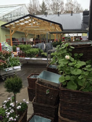 plantagen kungens kurva plantagen kungens kurva