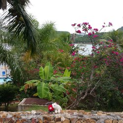 Carib Beach Resort 10 Photos 15 Reviews Hotels 70 C Photo Of Carib Beach Resort Saint Thomas Virgin Islands U S