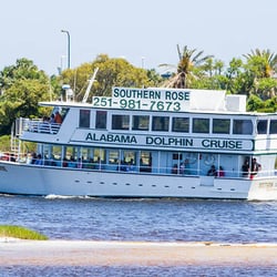 Southern Rose Dolphin Cruises 37 Photos 14 Reviews Boat Photo Of Southern Rose Dolphin Cruises Orange Beach Al United States
