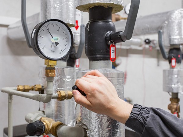 image of business Kevin