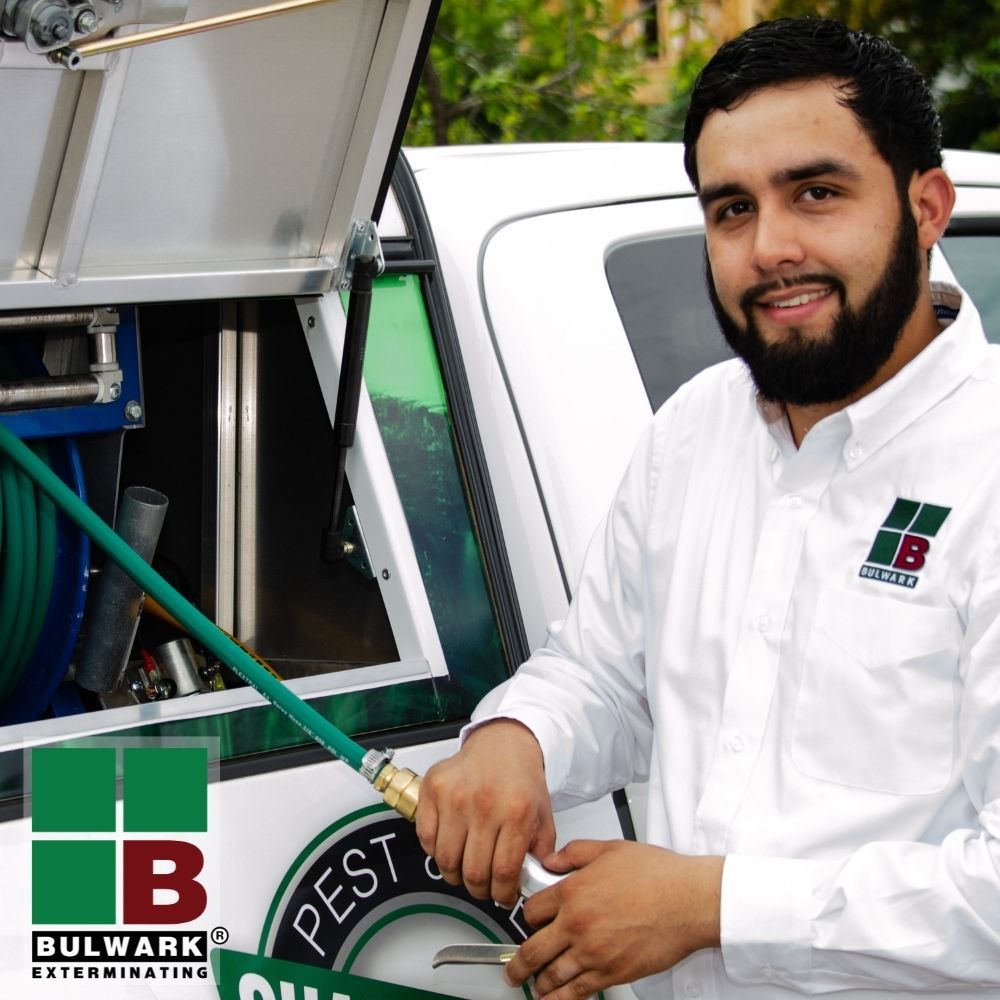 Bulwark Exterminating