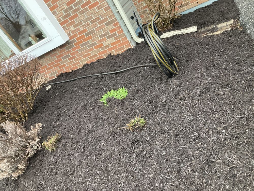 As Green Lawncare and Landscaping