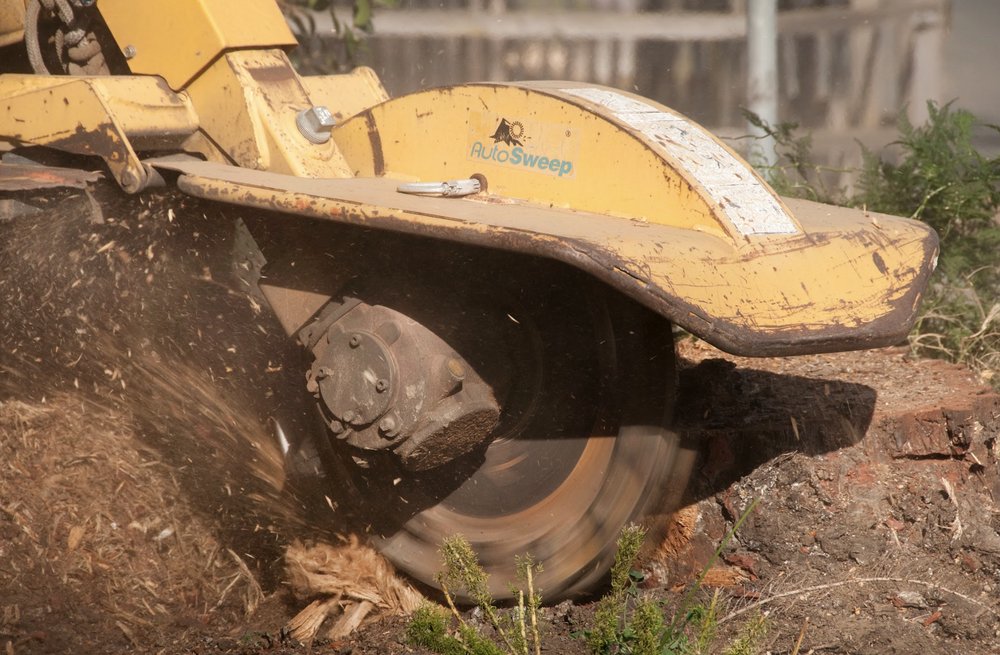 Traverso Tree Service