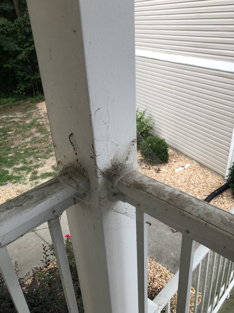 Copper Beech at Greenville