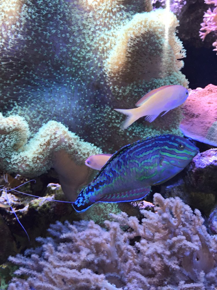 Capital Aquarium