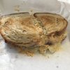 Joe's Delicatessen